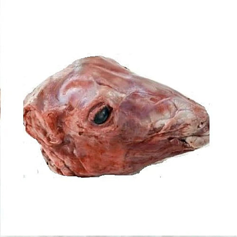 Lamb Head