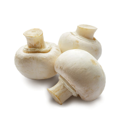 White Mushroom