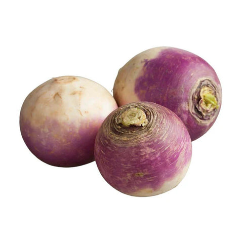 White Turnip