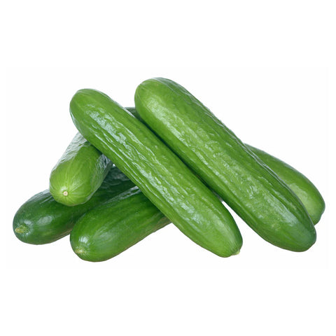 Cucumber Mini