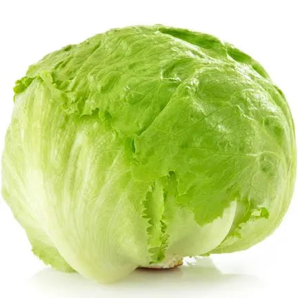 Lettuce Head
