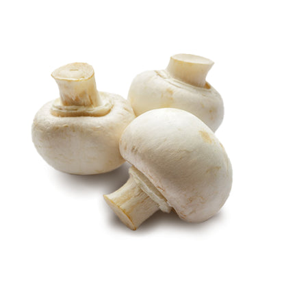 White Mushroom