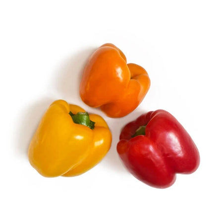 Pepper Rainbow (pack of 3)