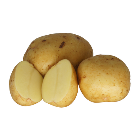 Potato Yukon - Yellow