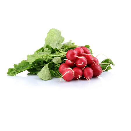Radish