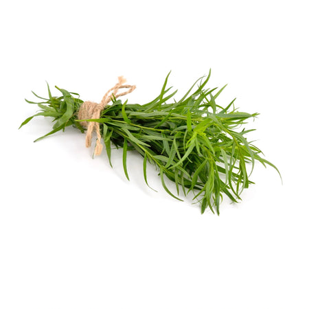 Tarragon